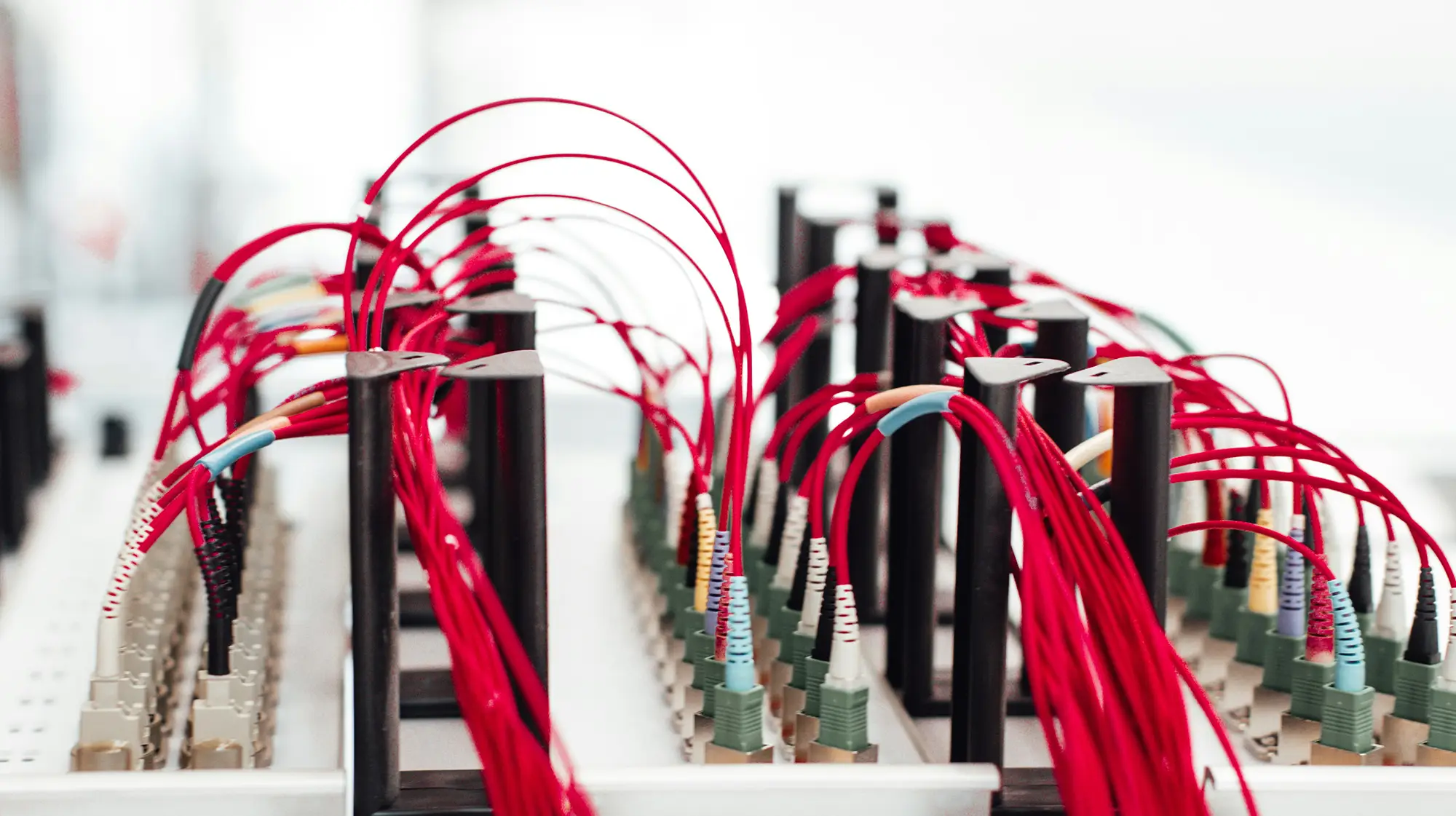 Kabel die in einer Aparatur verschraubt sind